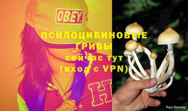 дмт Балахна