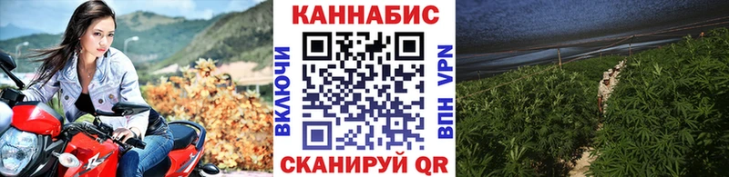 Шишки марихуана конопля  Купить где  Монино 